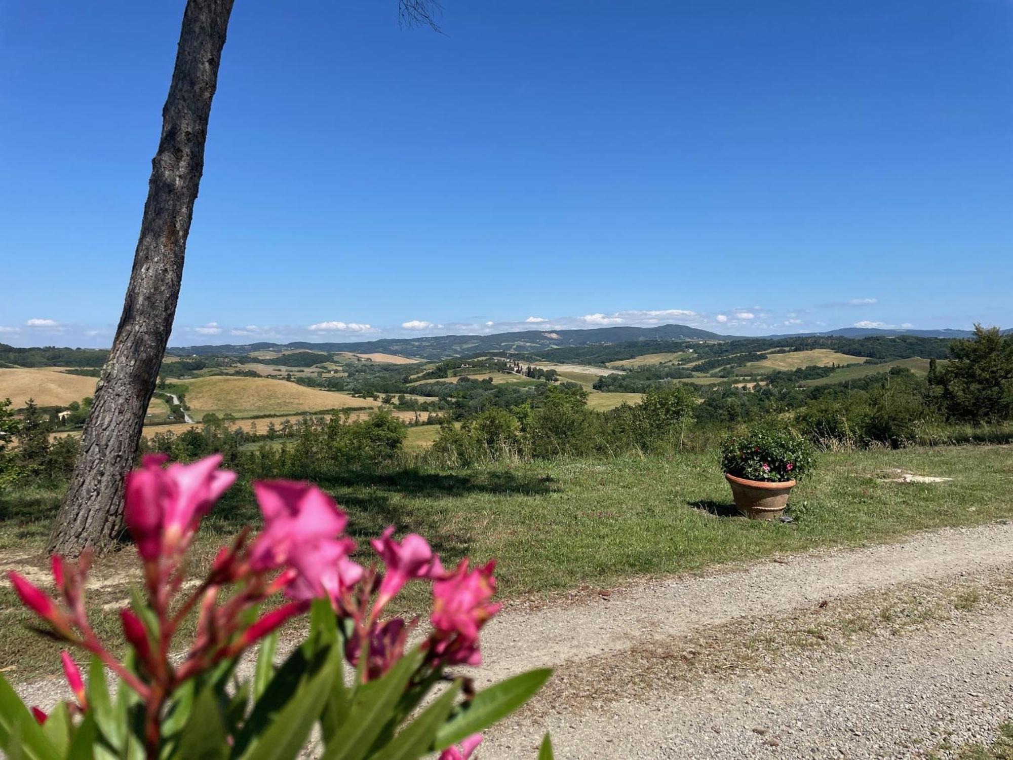 Casa Vacanze Podere Marilla Peccioli Exteriör bild